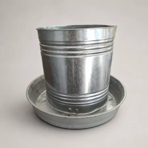 علافة أردني عادية