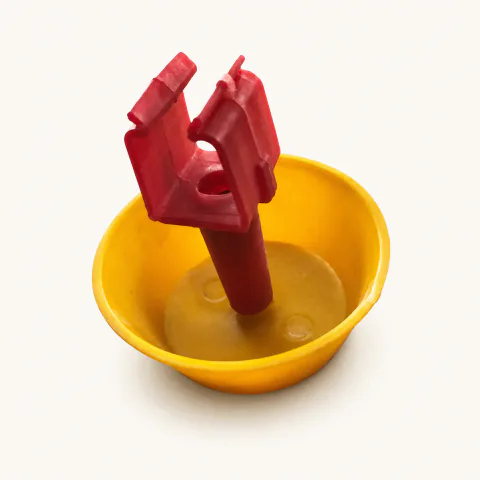 كب سوستة (كأس نبل بسوستة)